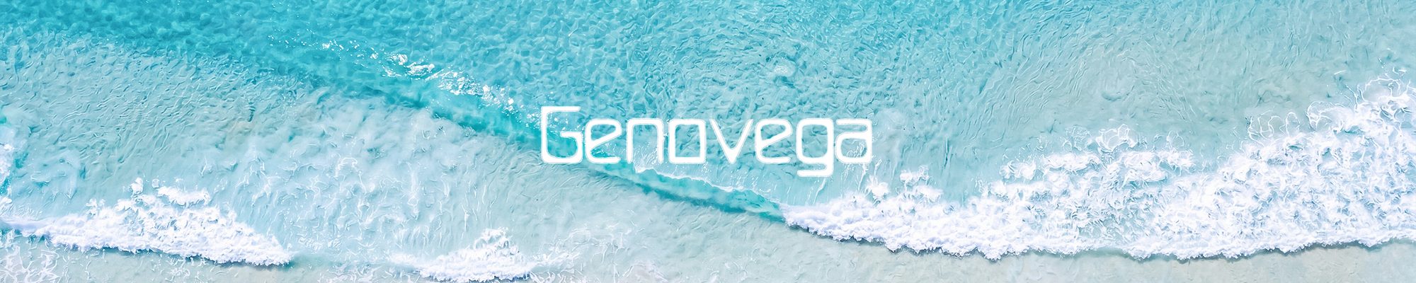 Genovega puzzle mat roll up